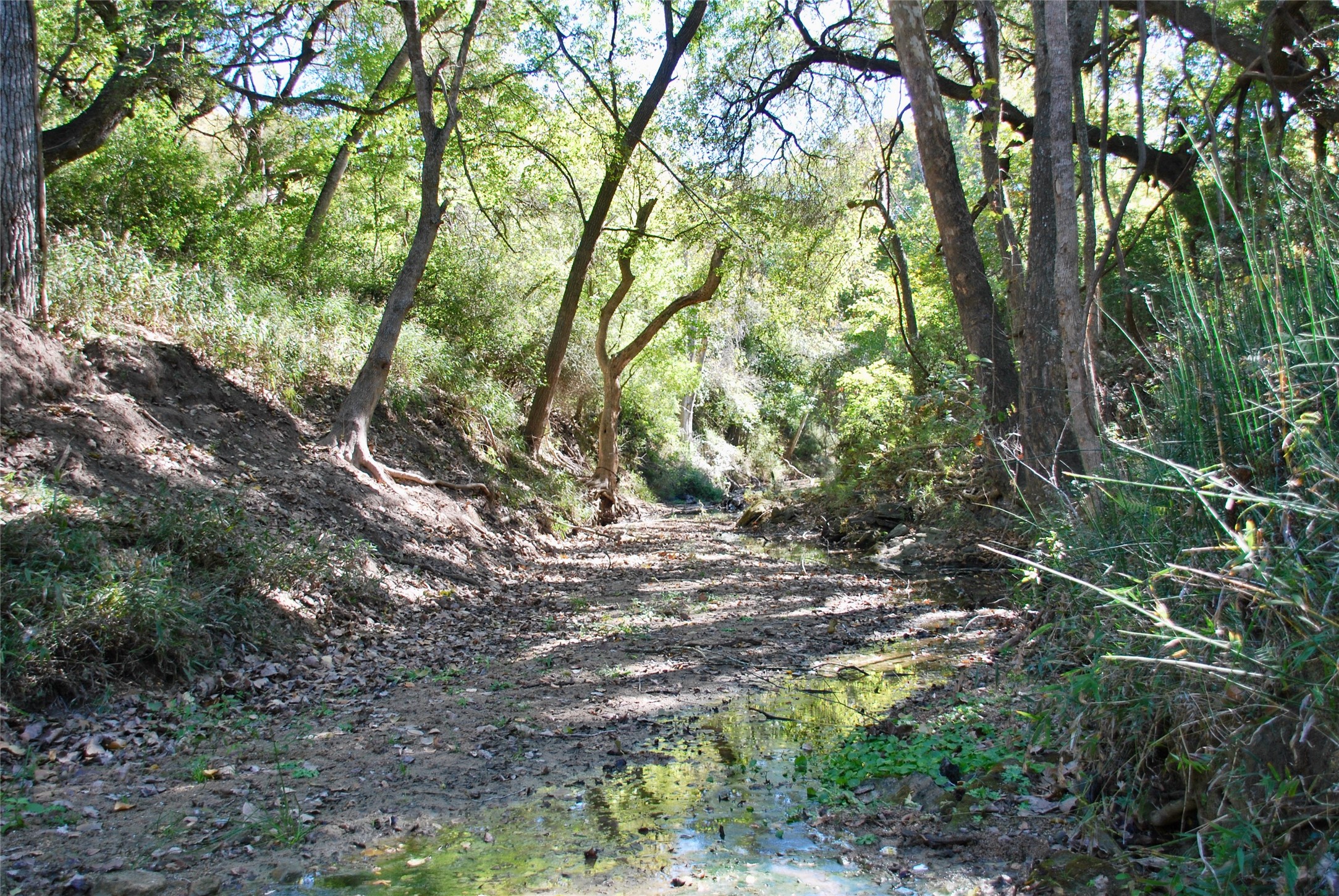 90 St Schulenburg Tx 78956 Schulenburg, TX 78956 - Photo 25 of 48