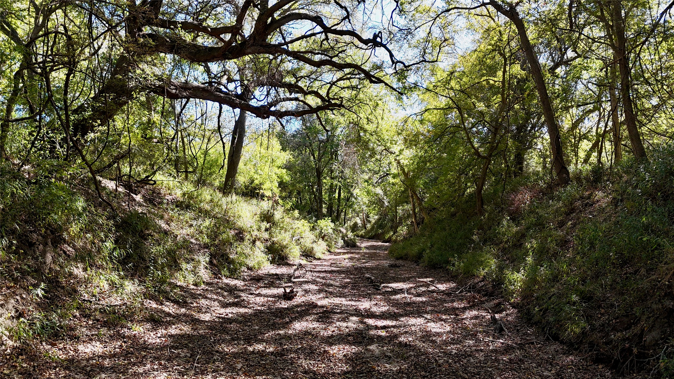90 St Schulenburg Tx 78956 Schulenburg, TX 78956 - Photo 27 of 48 a backyard of a house with lots of green space