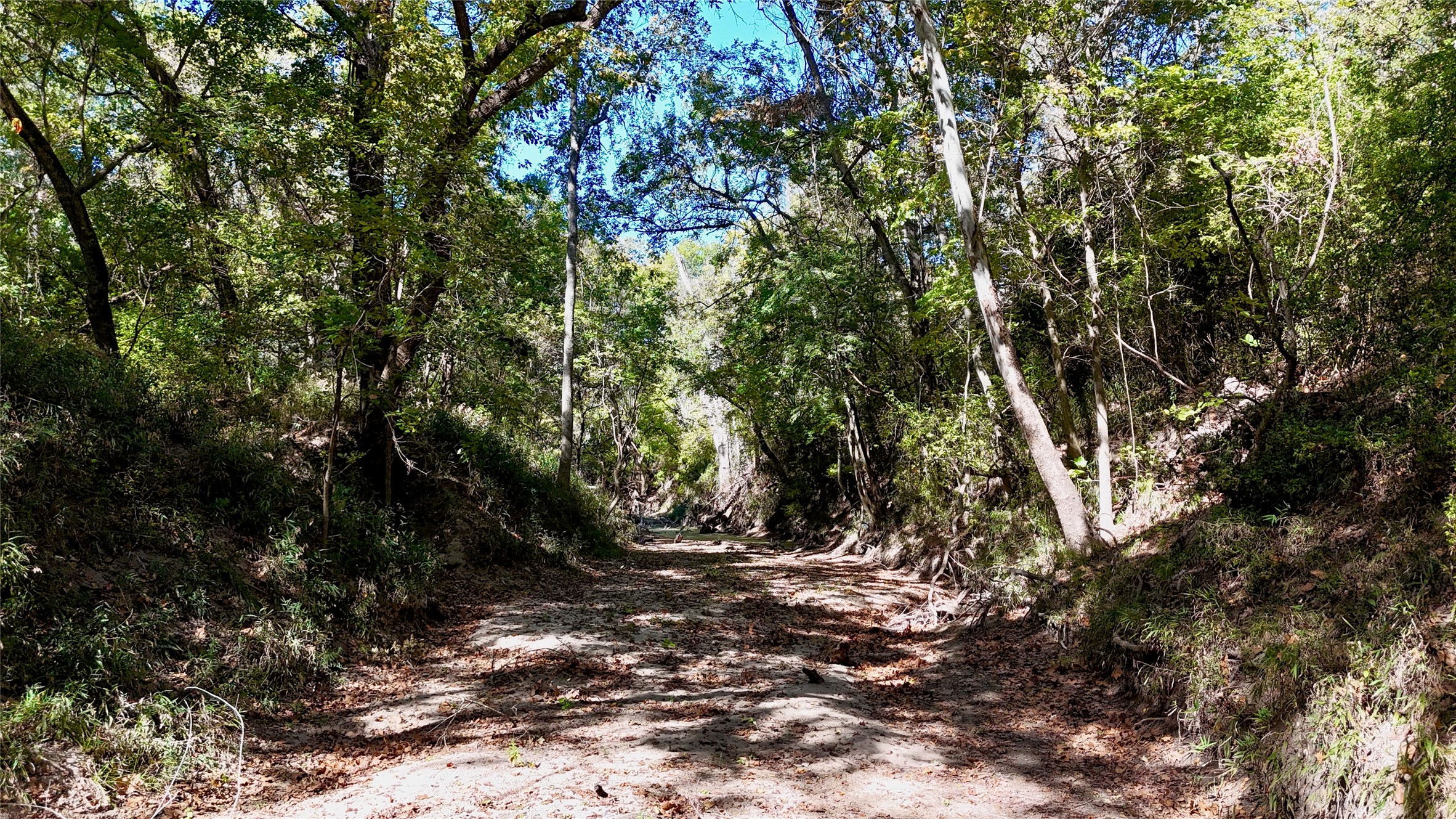 90 St Schulenburg Tx 78956 Schulenburg, TX 78956 - Photo 28 of 48 a view of tree