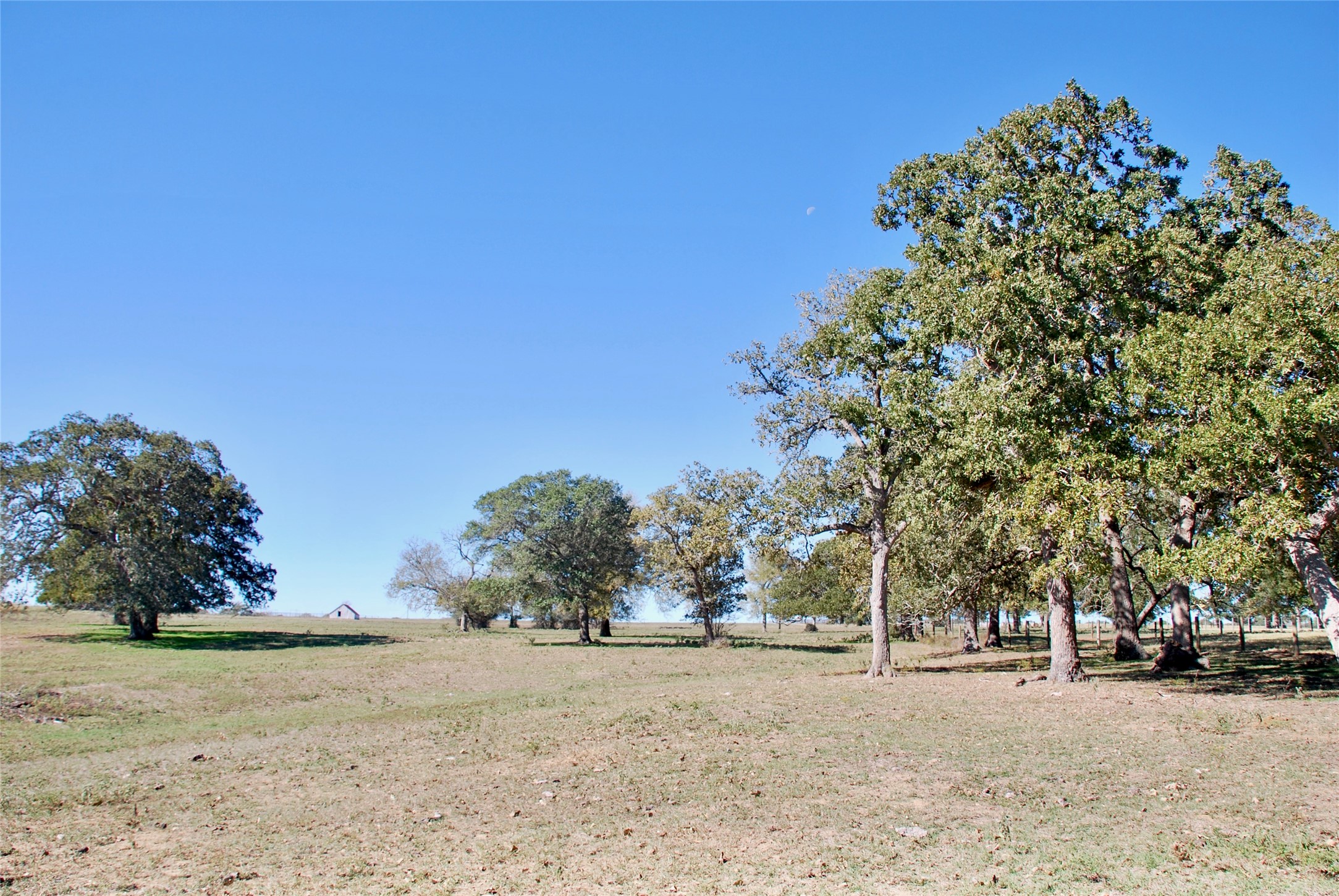 90 St Schulenburg Tx 78956 Schulenburg, TX 78956 - Photo 34 of 48 a view of a yard with a tree