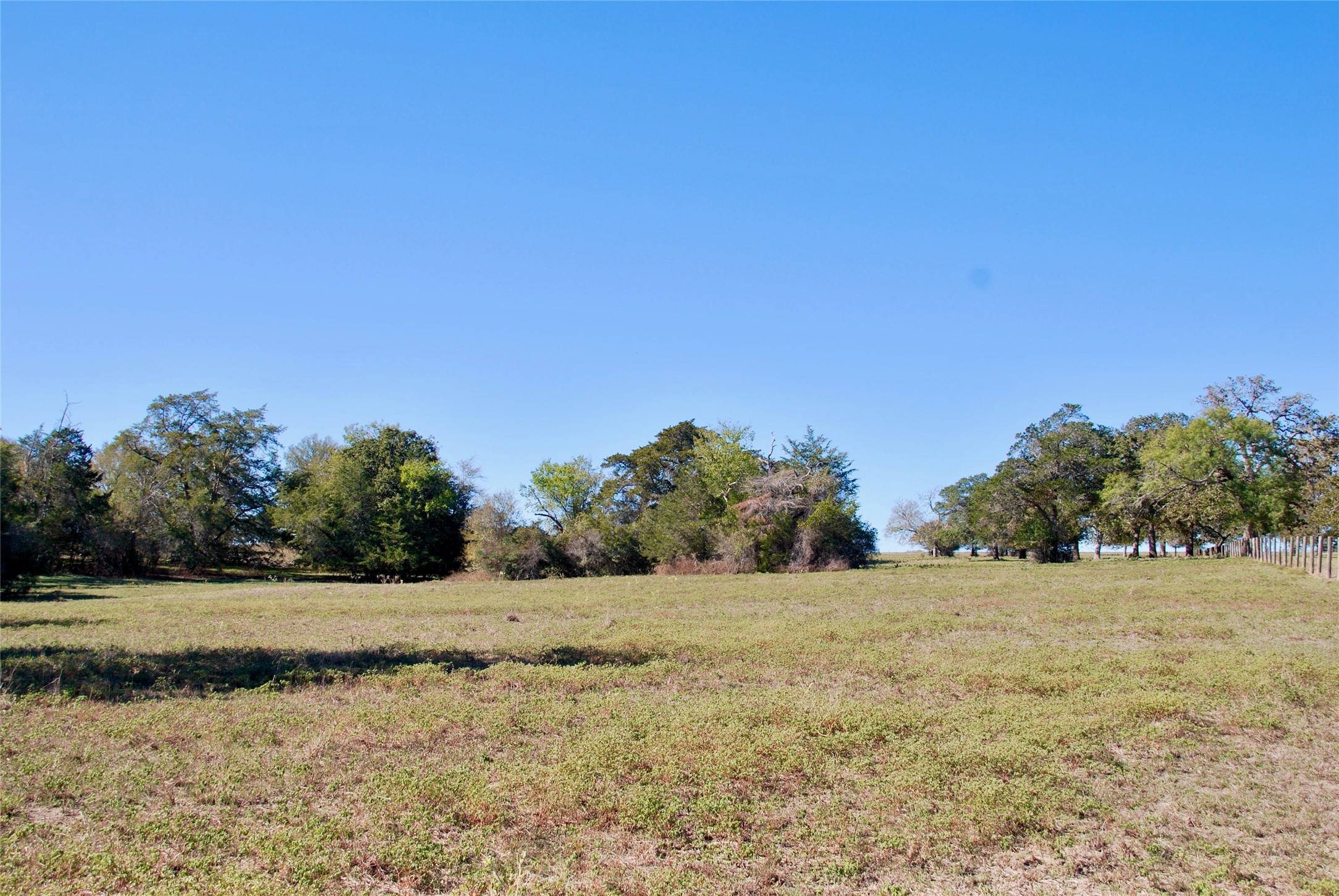 90 St Schulenburg Tx 78956 Schulenburg, TX 78956 - Photo 36 of 48 a view of a field with trees in background
