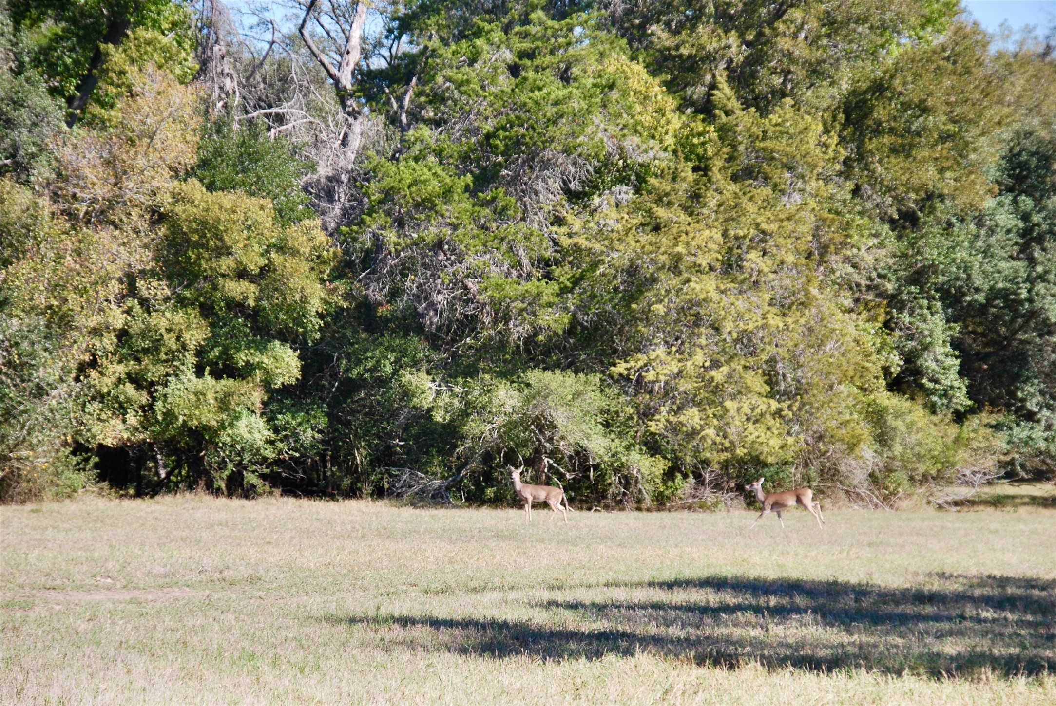 90 St Schulenburg Tx 78956 Schulenburg, TX 78956 - Photo 37 of 48 a view of beach and lake