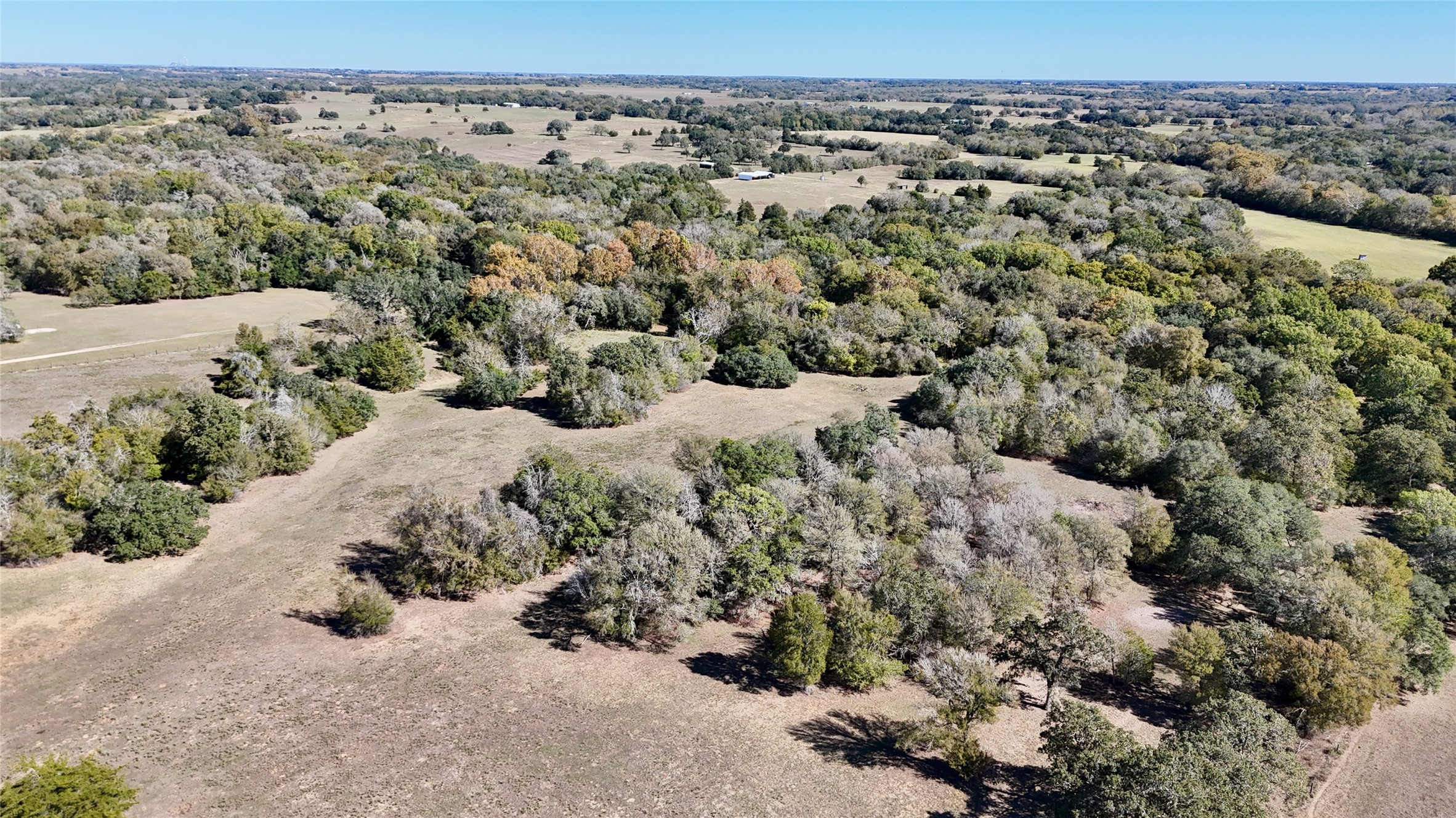 90 St Schulenburg Tx 78956 Schulenburg, TX 78956 - Photo 4 of 48 view of a yard with a tree