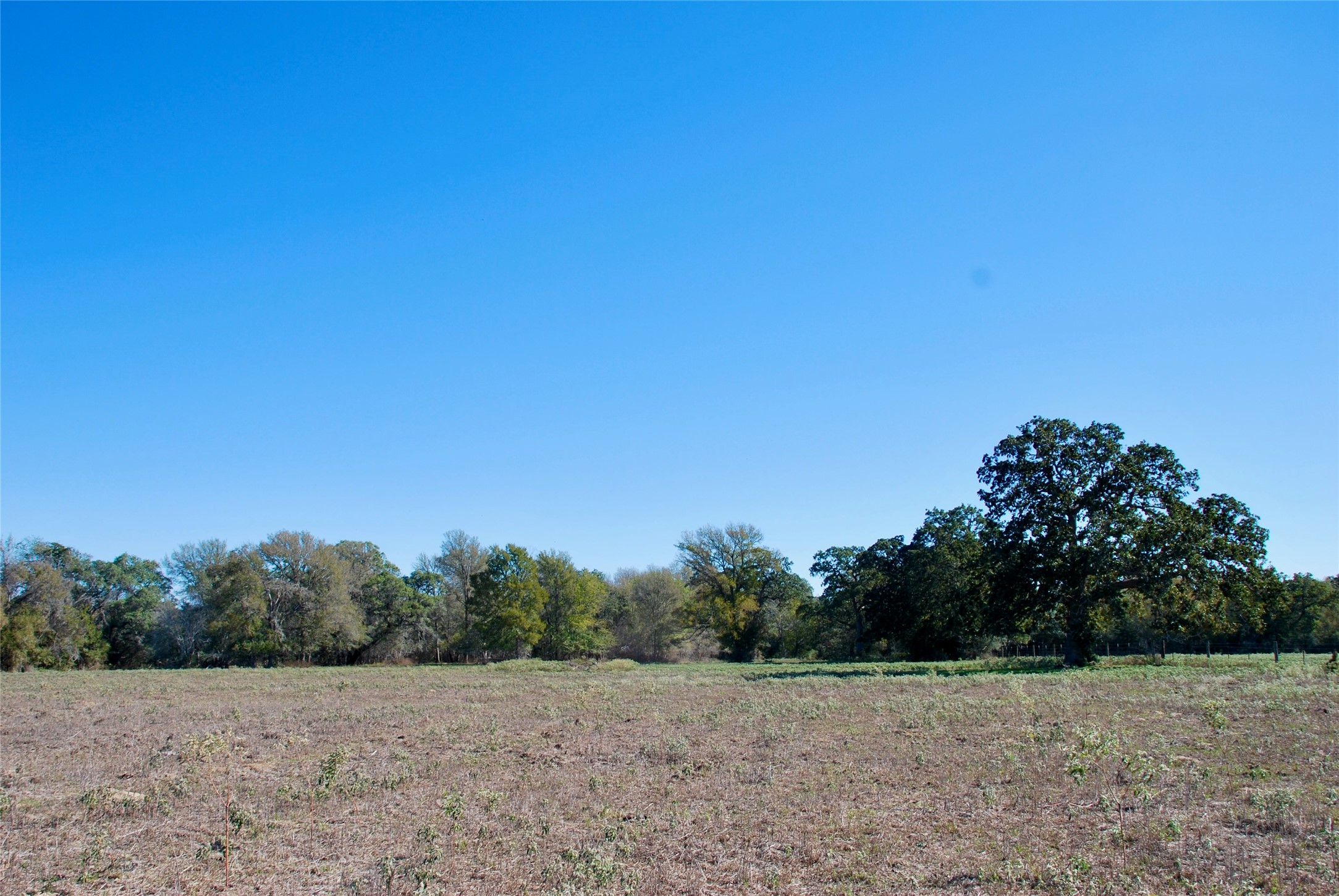 90 St Schulenburg Tx 78956 Schulenburg, TX 78956 - Photo 41 of 48 a view of a field with trees in it