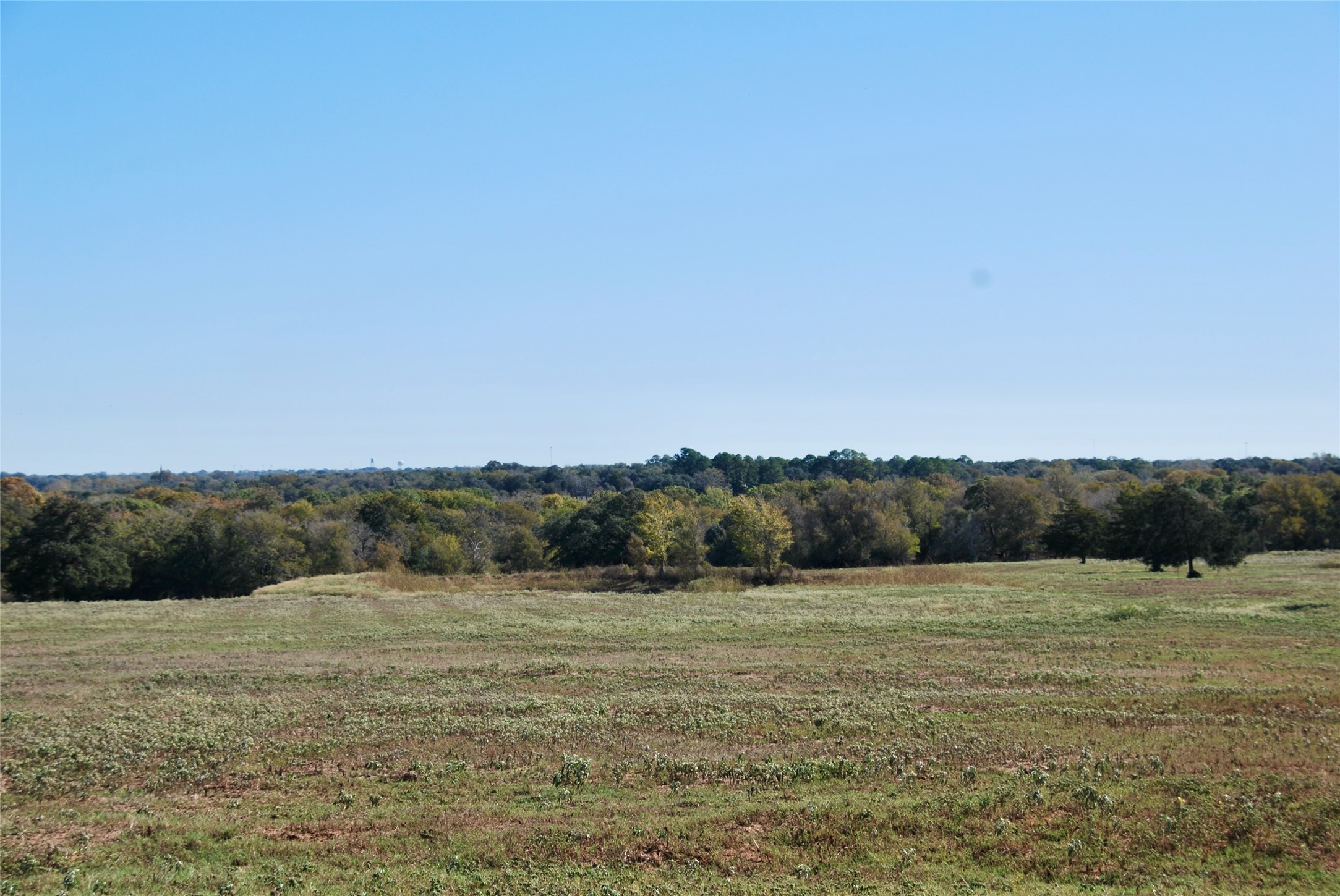 90 St Schulenburg Tx 78956 Schulenburg, TX 78956 - Photo 42 of 48 a view of a field with mountain in background