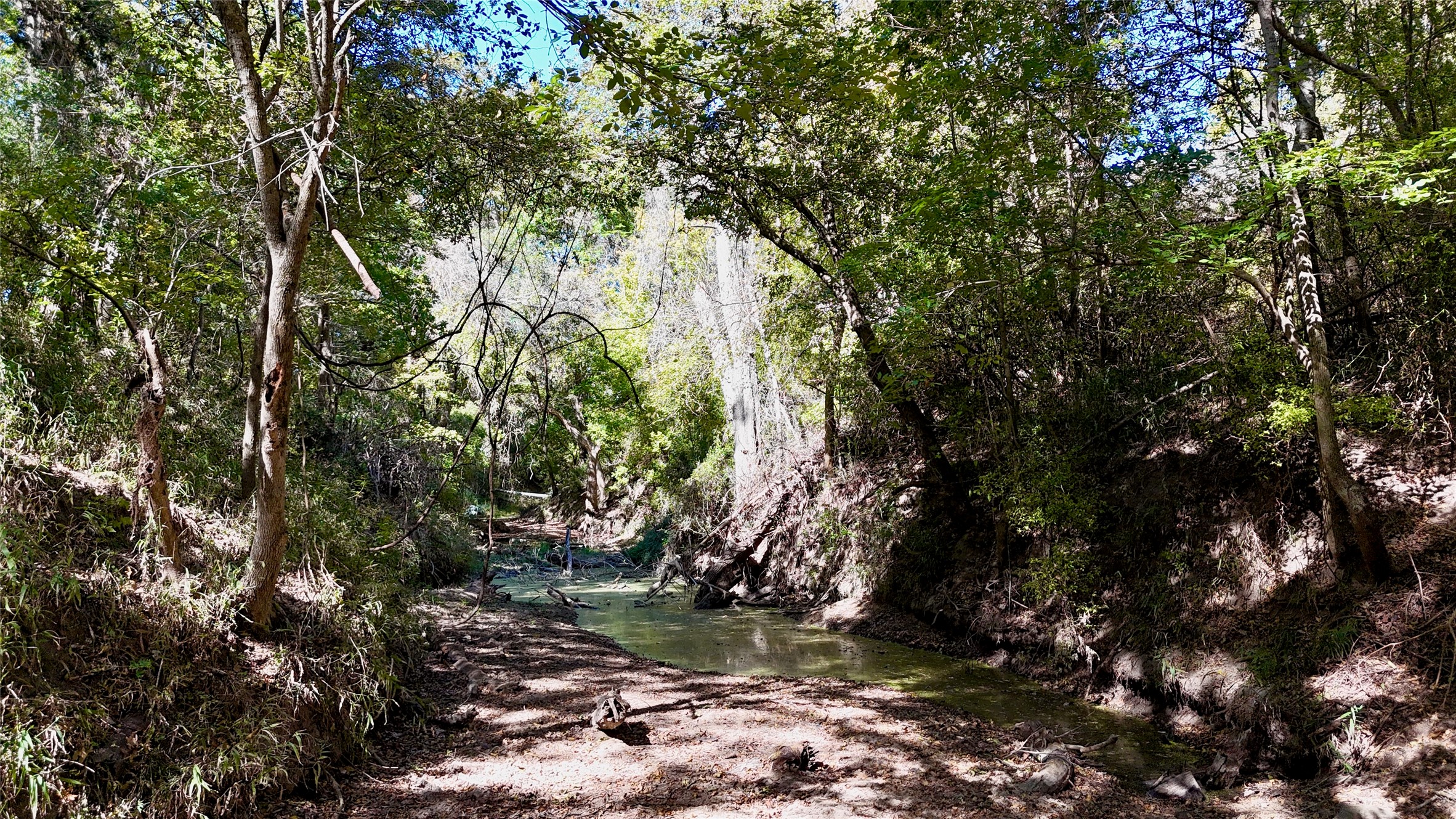 90 St Schulenburg Tx 78956 Schulenburg, TX 78956 - Photo 6 of 48 a view of a tree in a yard