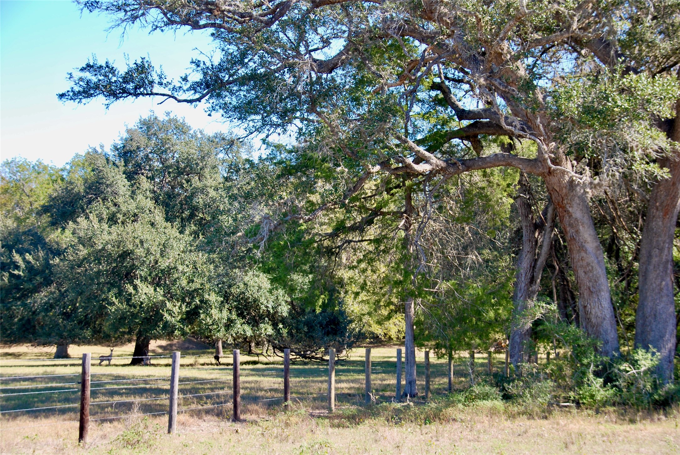 90 St Schulenburg Tx 78956 Schulenburg, TX 78956 - Photo 10 of 48
