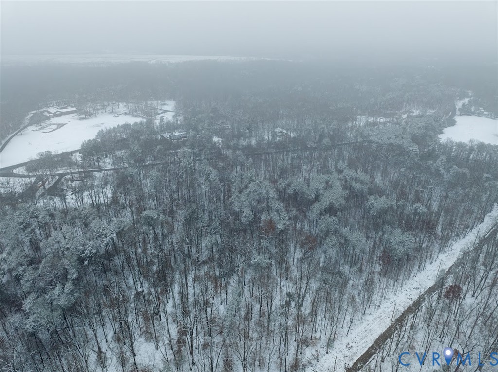 0 C G Woodson Road New Canton, VA 23123 - Photo 12 of 17 a view of a dry yard