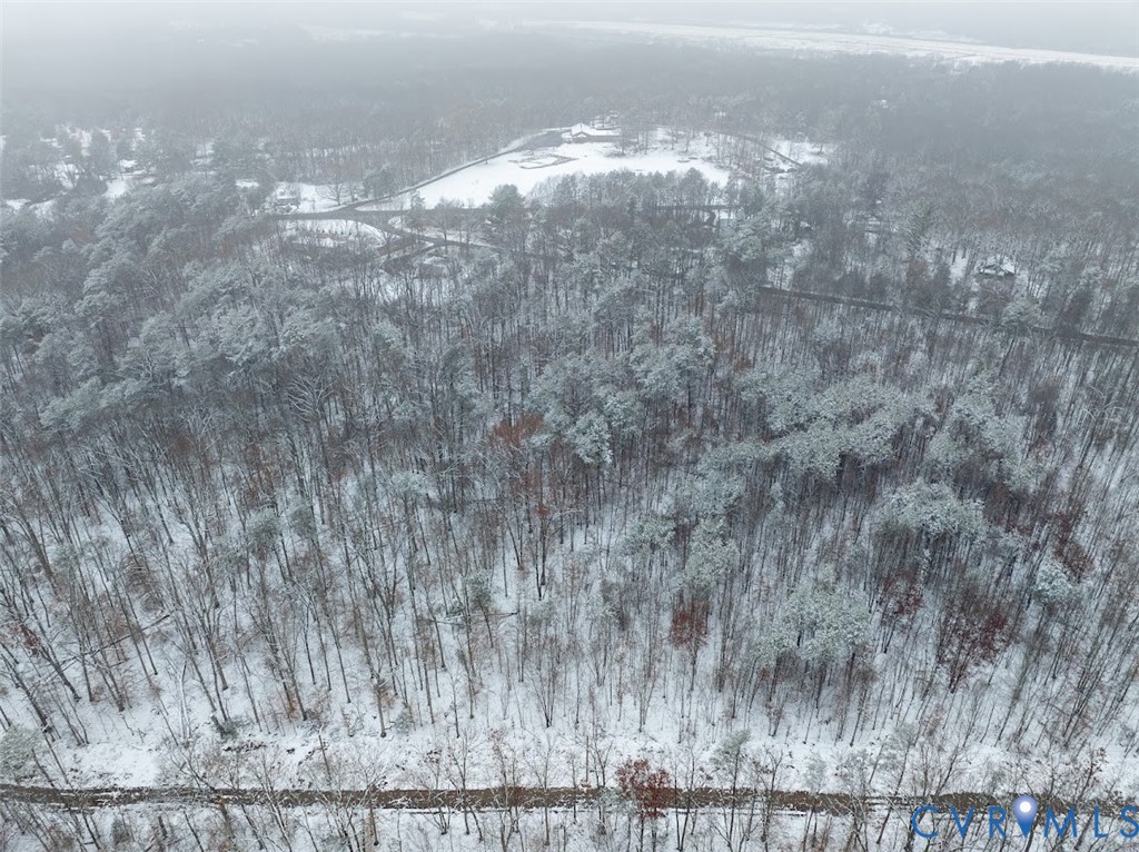 0 C G Woodson Road New Canton, VA 23123 - Photo 13 of 17 a view of a dry yard