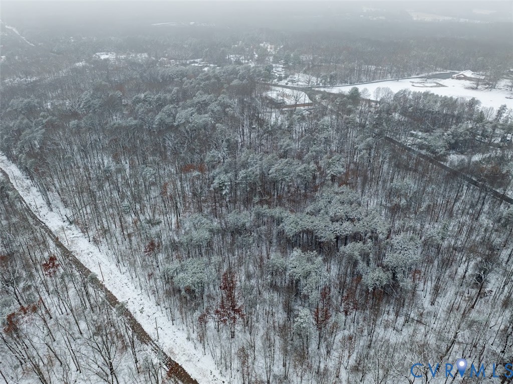 0 C G Woodson Road New Canton, VA 23123 - Photo 14 of 17 a view of lot of trees in between of two buildings