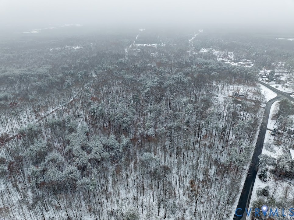 0 C G Woodson Road New Canton, VA 23123 - Photo 16 of 17 a view of a dry yard