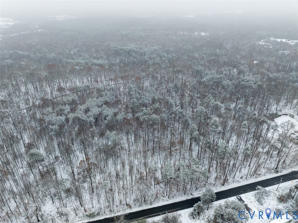 0 C G Woodson Road New Canton, VA 23123 - Photo 17 of 17 a view of a dry yard