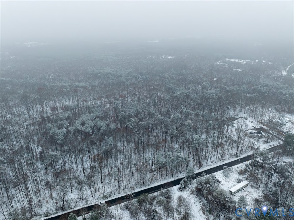 0 C G Woodson Road New Canton, VA 23123 - Photo 5 of 17 a view of a dry yard