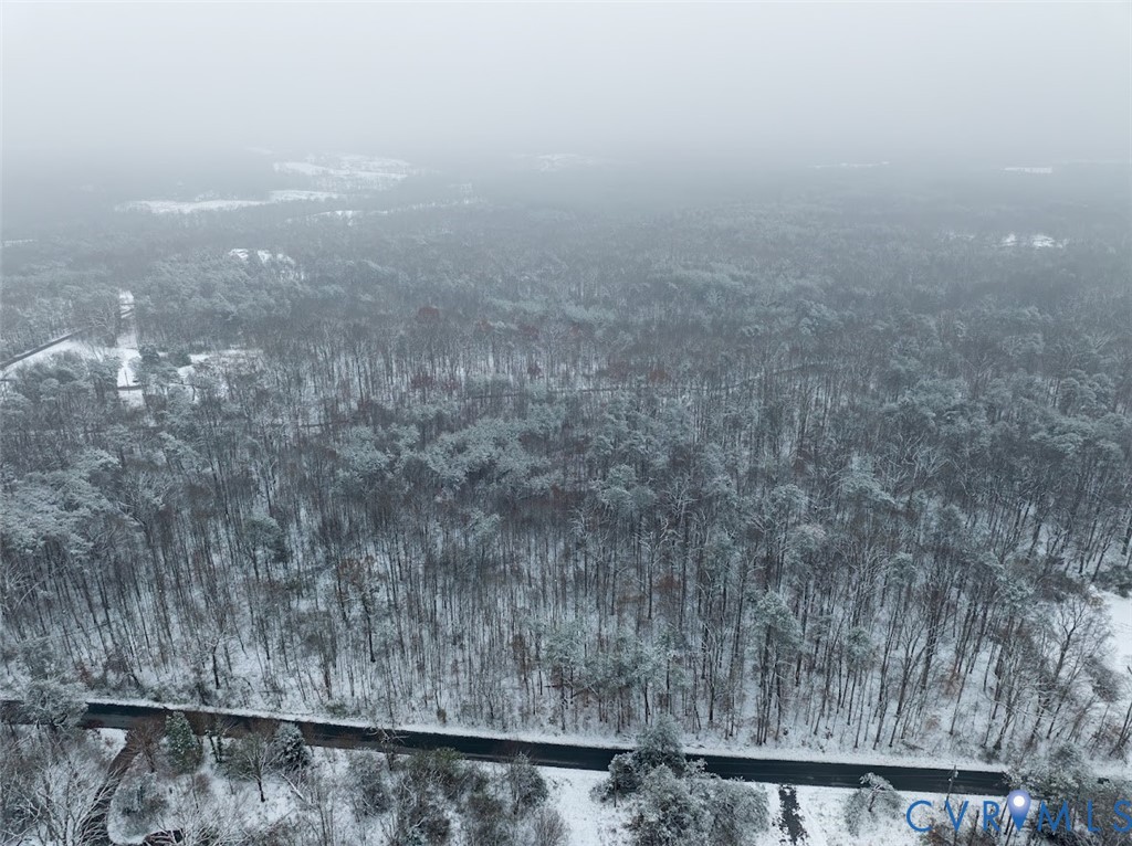 0 C G Woodson Road New Canton, VA 23123 - Photo 6 of 17 a view of a dry yard