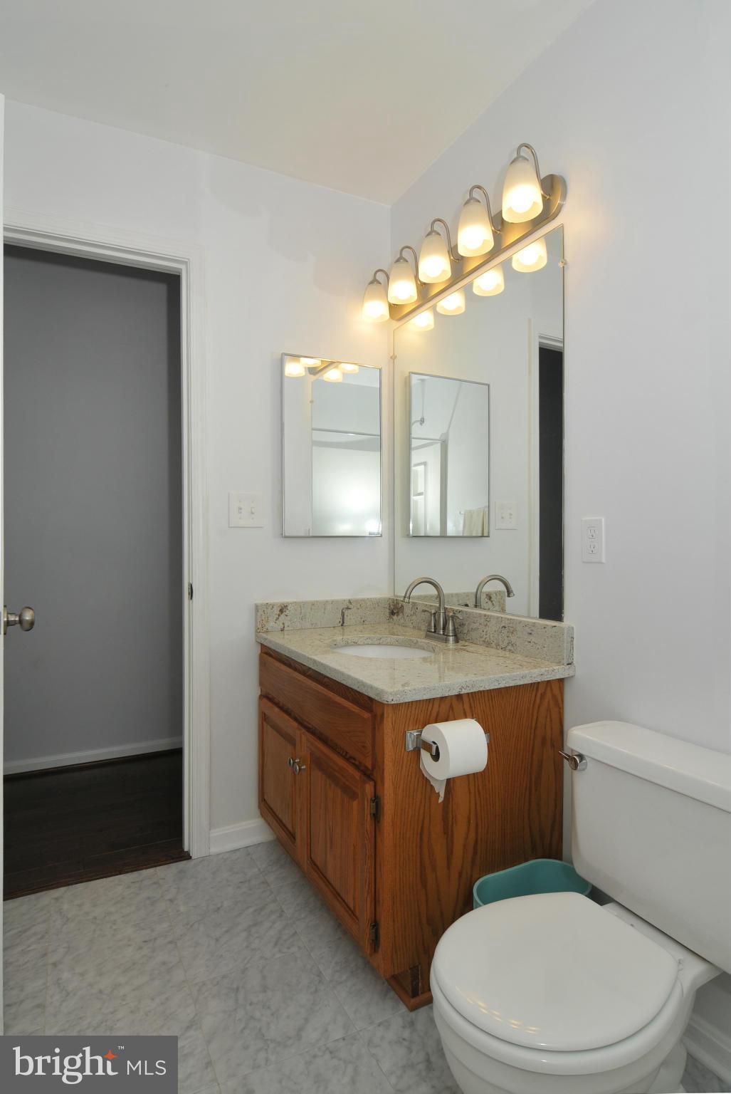 2440 Lyttonsville Road Silver Spring, MD 20910 - Photo 24 of 30 Hall Bath Vanity