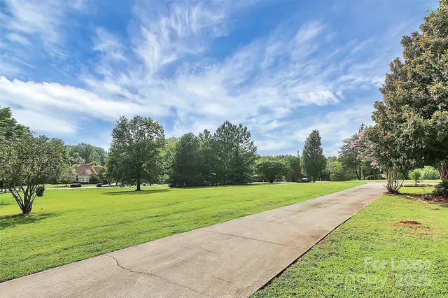 a view of a park with large trees