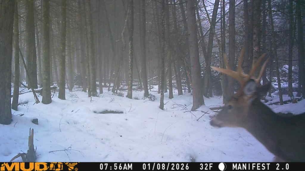 Springbrook Road Tigerton, WI 54486 - Photo 19 of 56