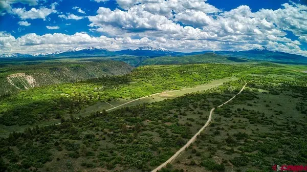 a view of a lush green space