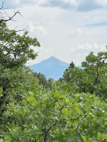 a view of an ocean beach