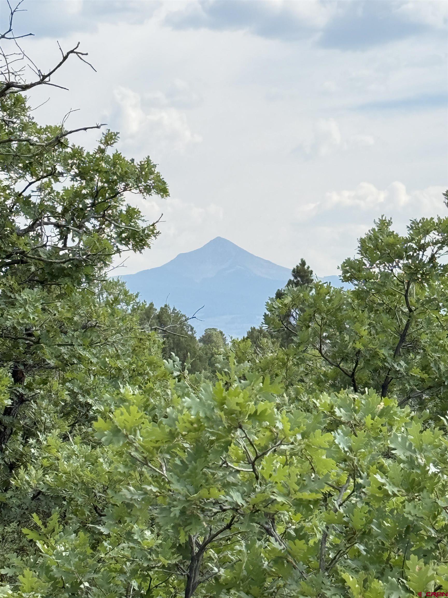 Tbd West Beaver Pines Loop Norwood, CO 81423 - Photo 11 of 16 a view of a field