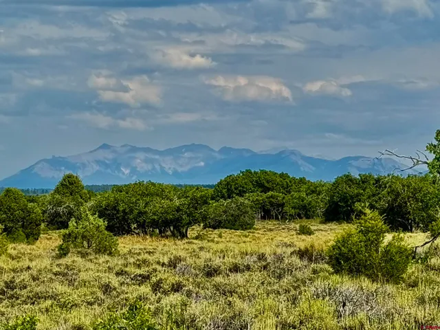 a view of a field with an ocean