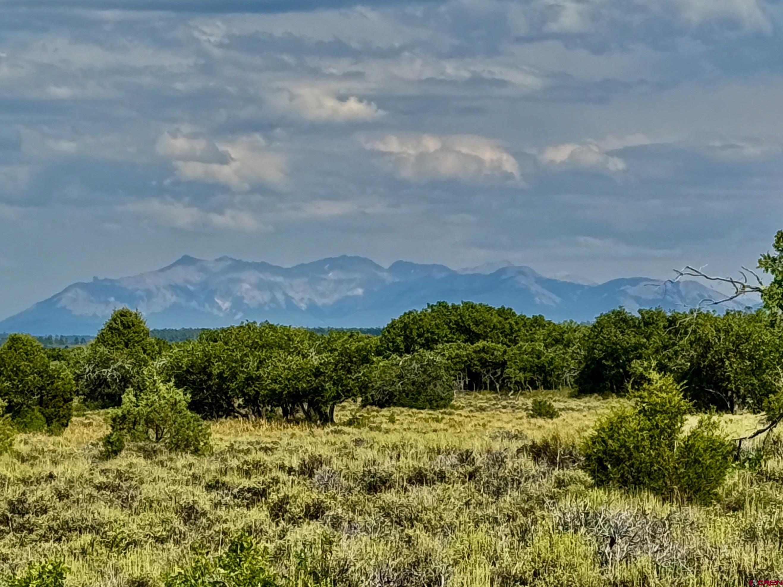 Tbd West Beaver Pines Loop Norwood, CO 81423 - Photo 12 of 16 a view of a bunch of trees and houses