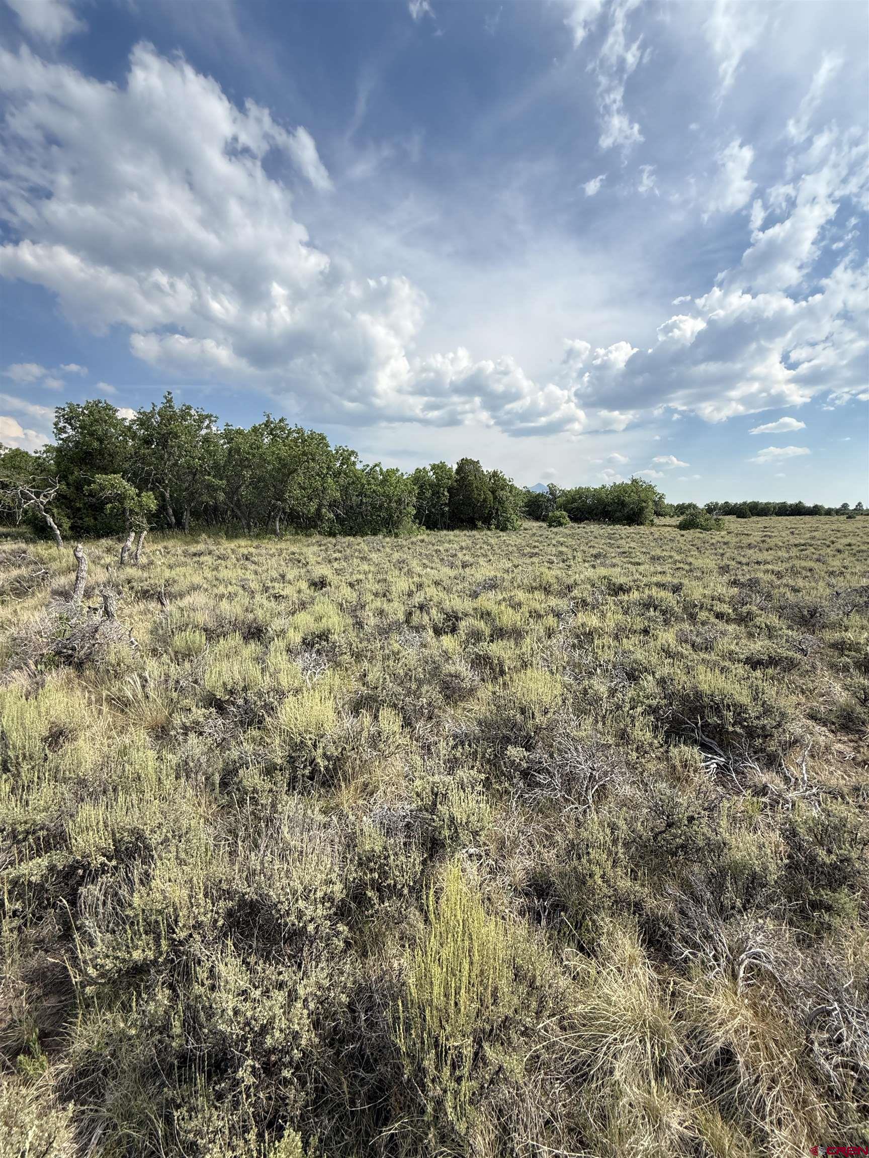 Tbd West Beaver Pines Loop Norwood, CO 81423 - Photo 13 of 16 a view of an ocean beach