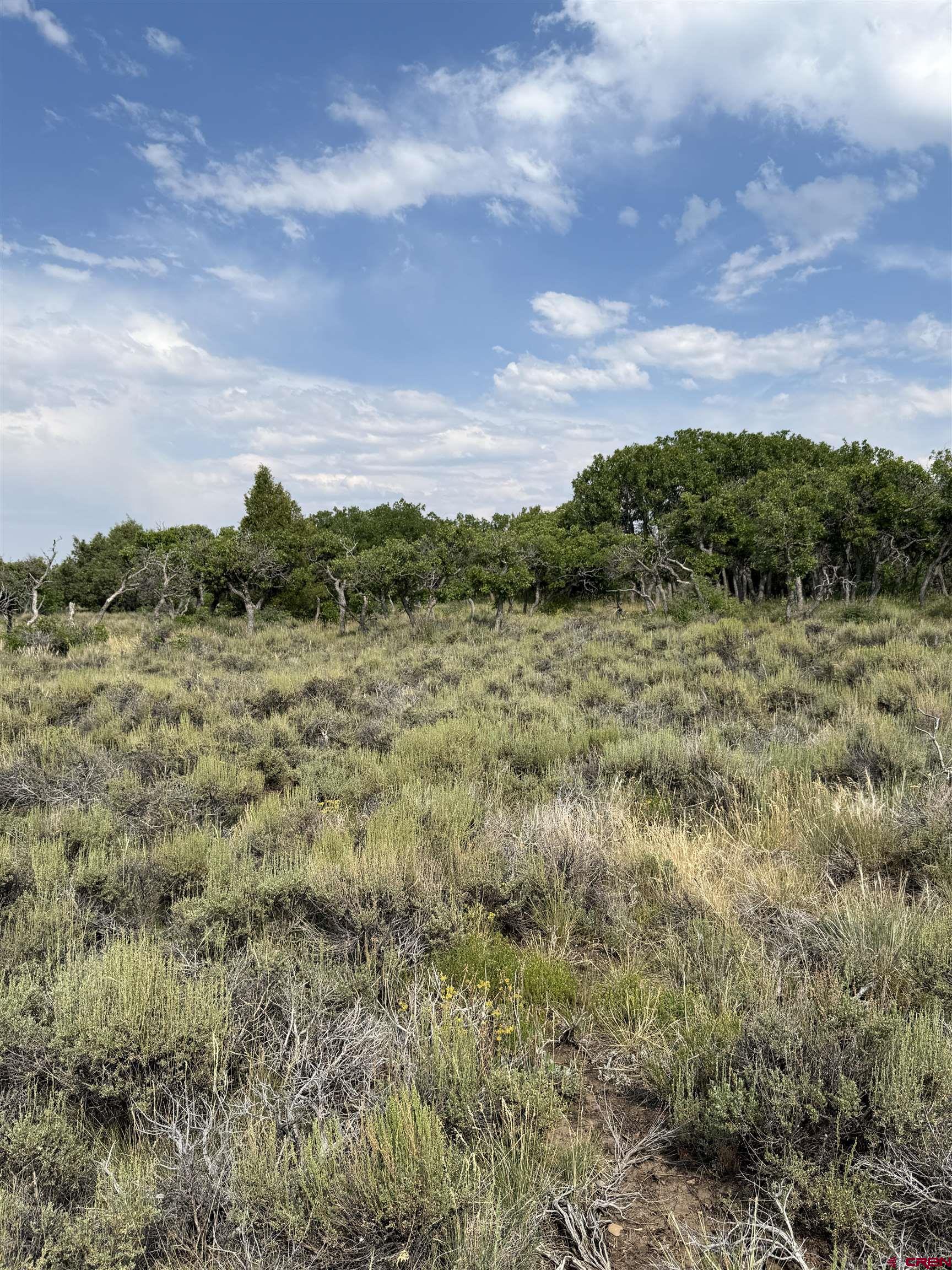 Tbd West Beaver Pines Loop Norwood, CO 81423 - Photo 14 of 16 a view of a field with an ocean