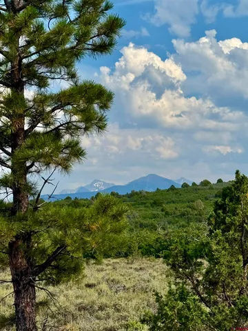 $195,000 | Tbd West Beaver Pines Loop, Norwood, CO 81423