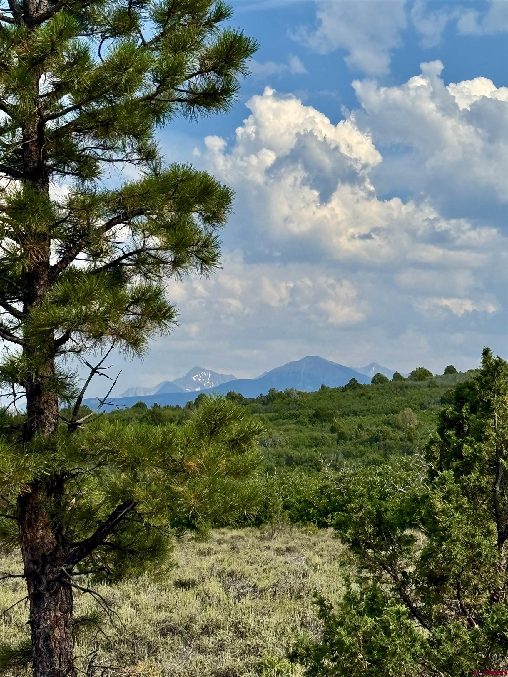 Tbd West Beaver Pines Loop Norwood, CO 81423 - Photo 15 of 16 a view of a lush green yard