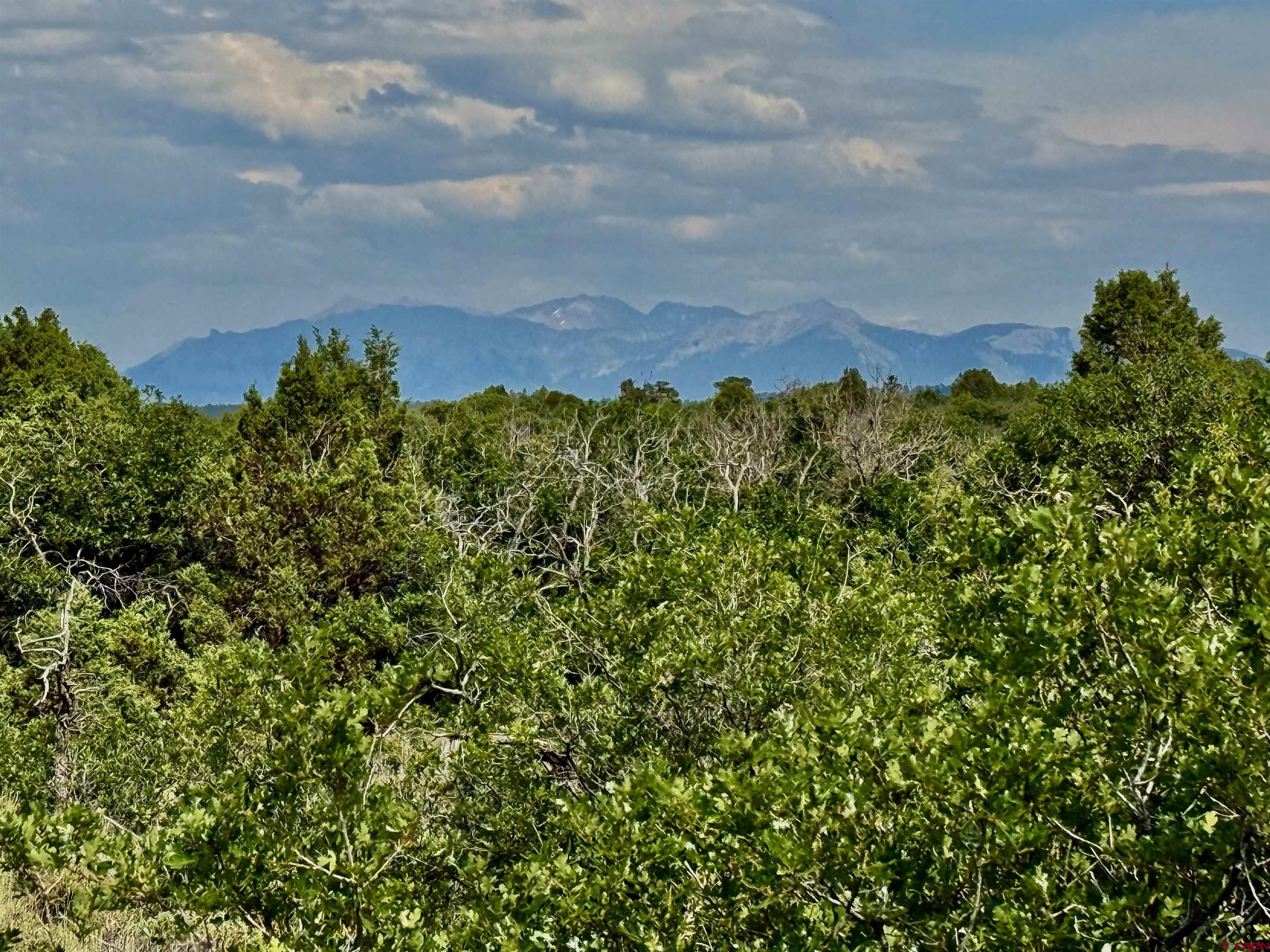 Tbd West Beaver Pines Loop Norwood, CO 81423 - Photo 16 of 16 a view of a lake