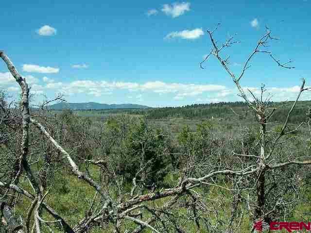 Tbd West Beaver Pines Loop Norwood, CO 81423 - Photo 2 of 16