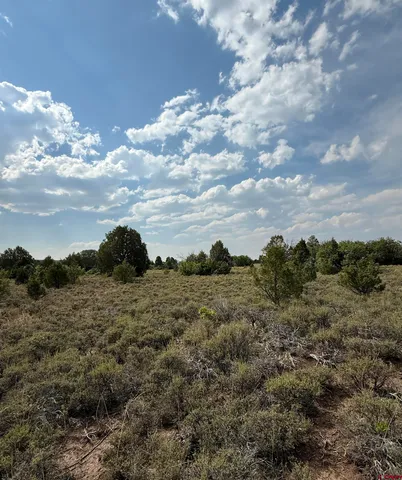 a view of a field with trees in background