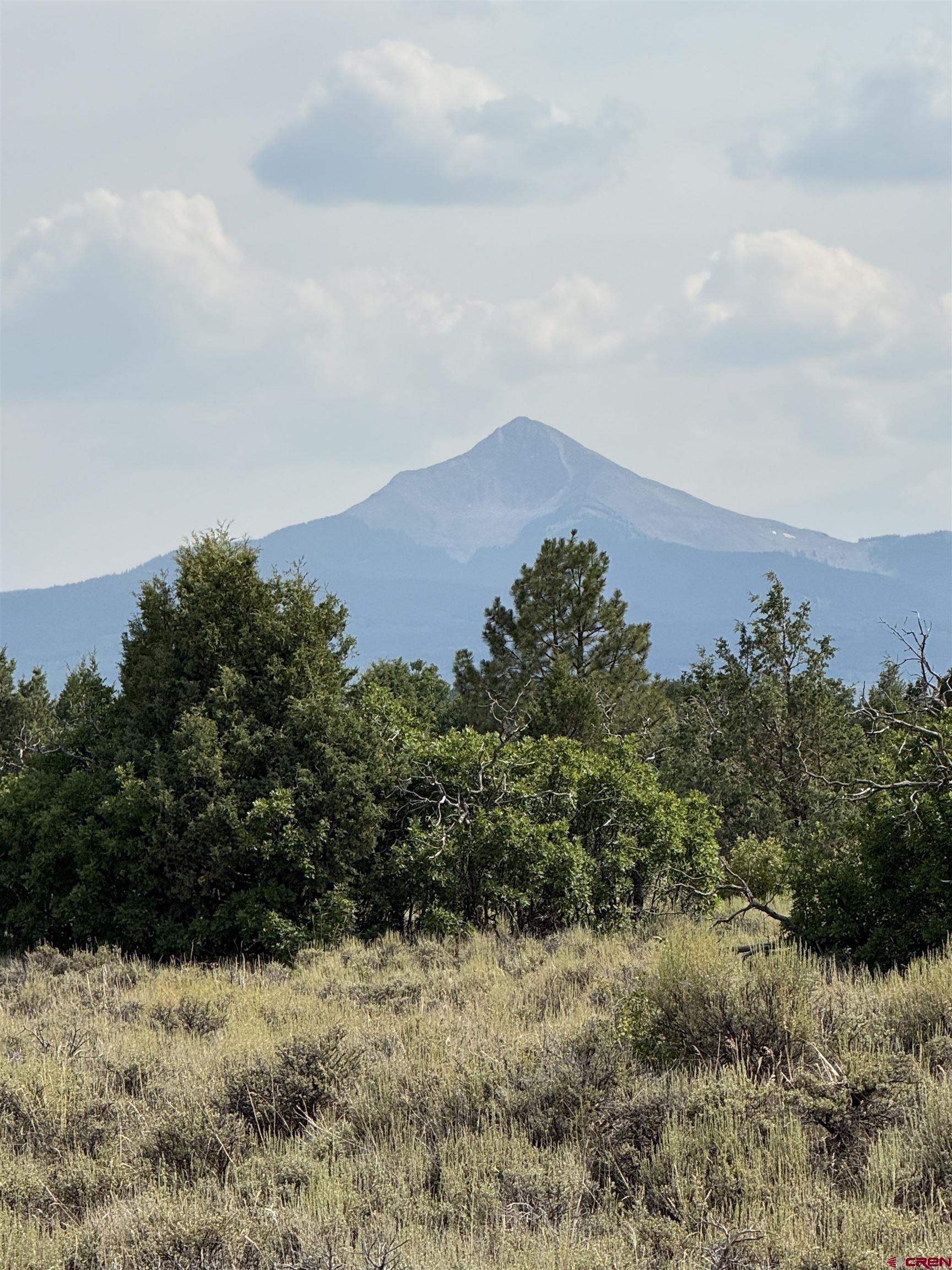 Tbd West Beaver Pines Loop Norwood, CO 81423 - Photo 9 of 16