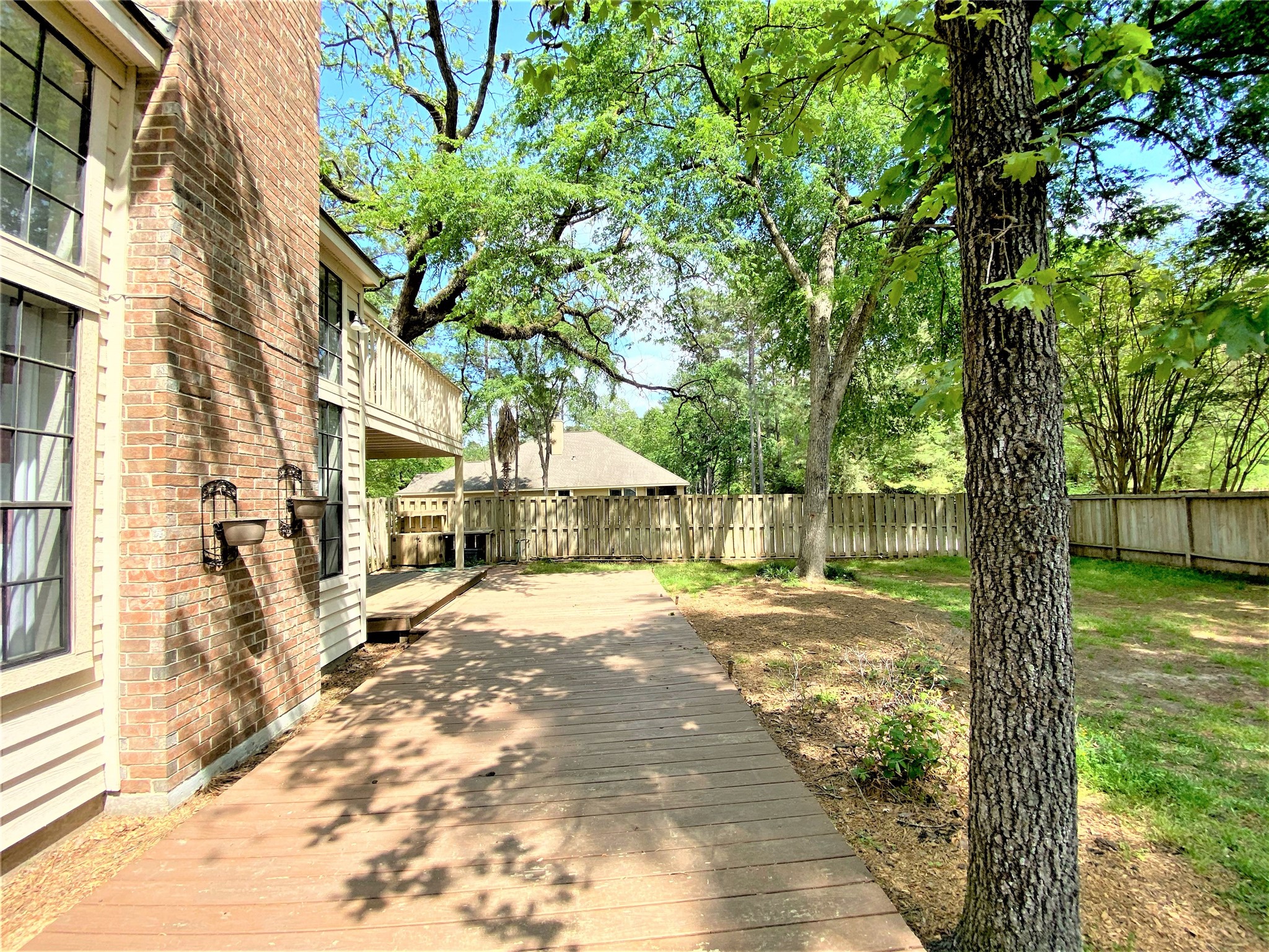 12303 Longfellow Drive Montgomery, TX 77356 - Photo 25 of 26 a tree in the middle of a yard