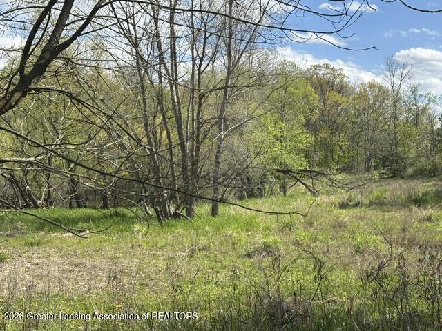 0 West Jason Road Dewitt, MI 48820 - Photo 13 of 17 IMG_8968