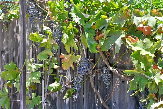 $460,000 | 2661 Imperial Way, Yuba City, CA 95993