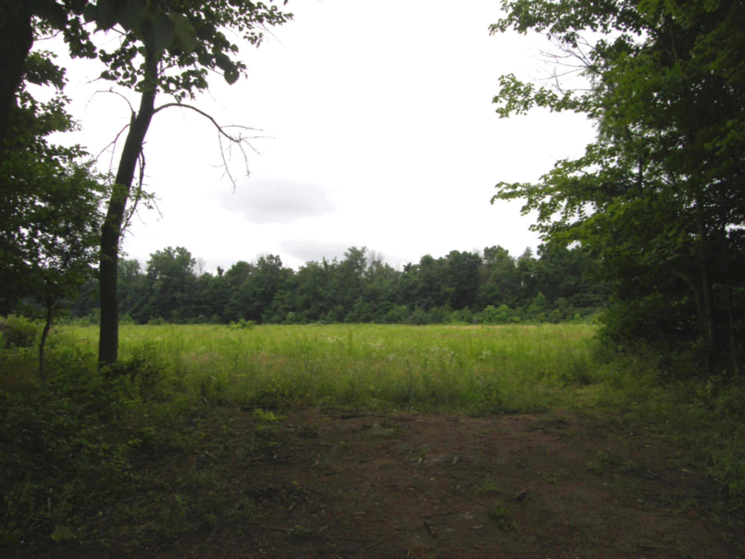 Ullery Road Niles, MI 49120 - Photo 1 of 15 Ullery_1_Summer