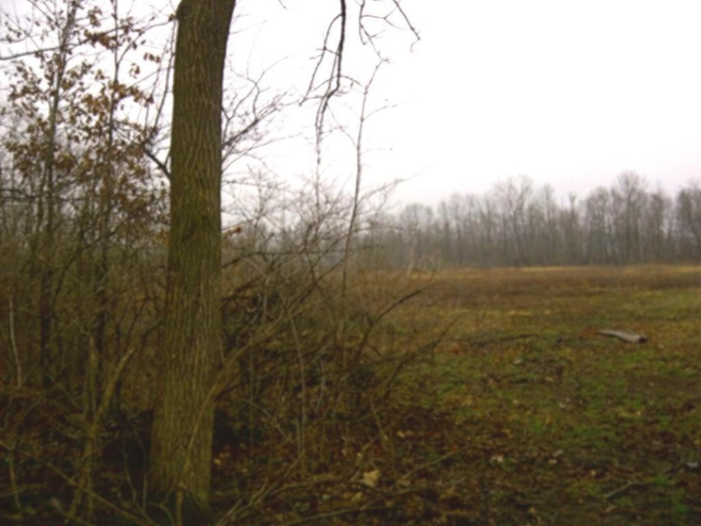 Ullery Road Niles, MI 49120 - Photo 12 of 15 Ullery_5