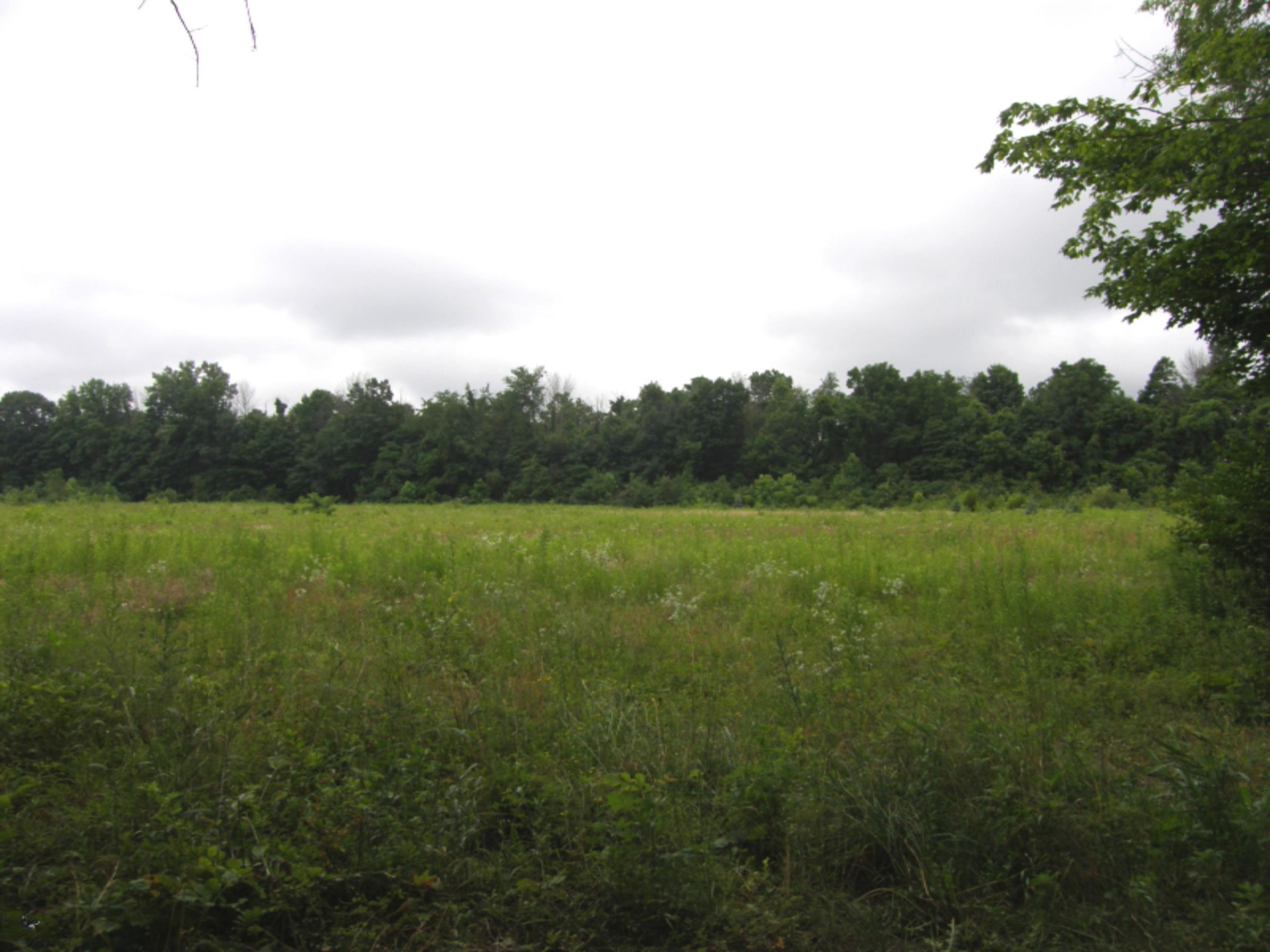Ullery Road Niles, MI 49120 - Photo 2 of 15 Ullery_2_Summer