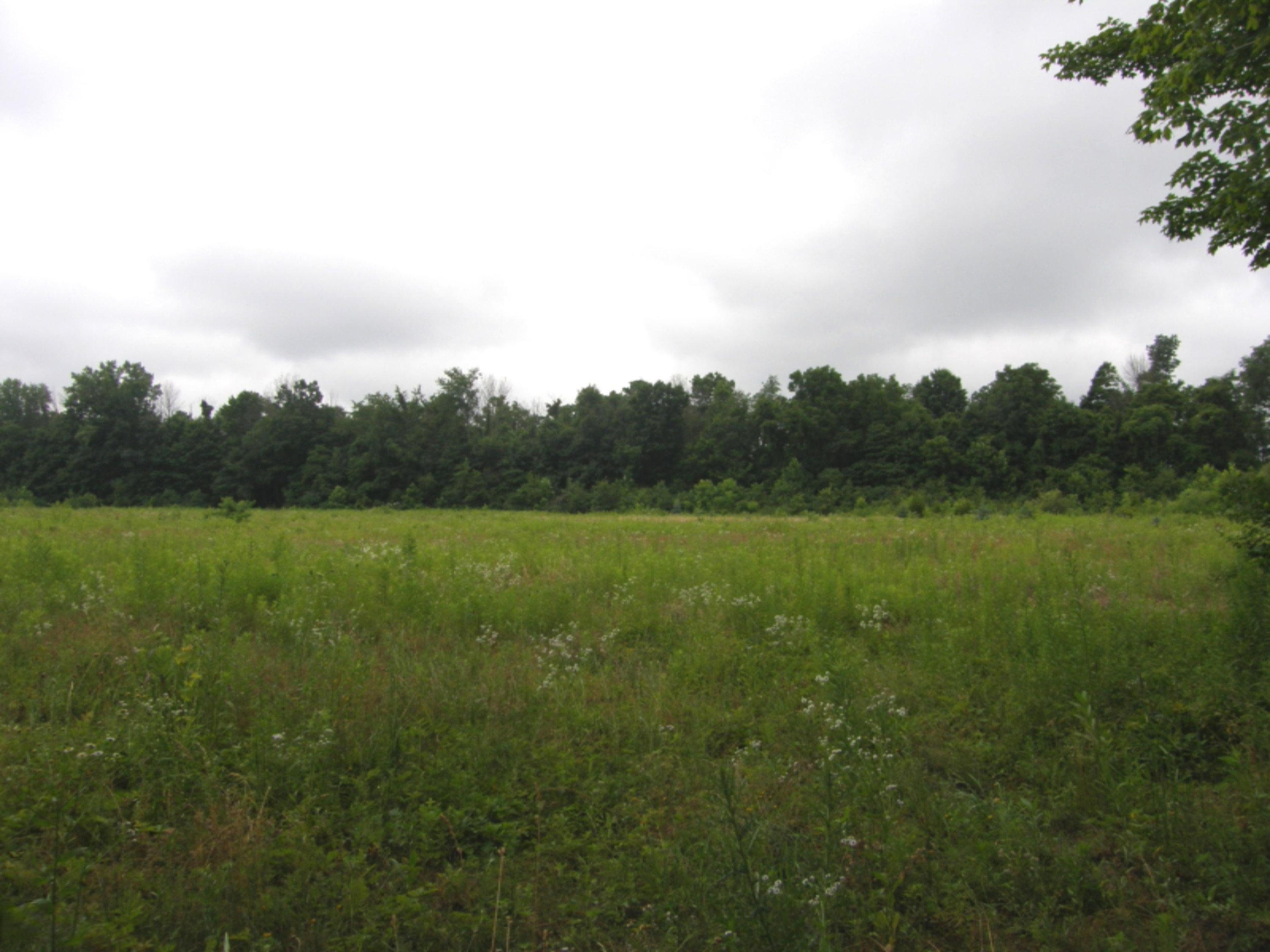 Ullery Road Niles, MI 49120 - Photo 3 of 15 Ullery_3_Summer