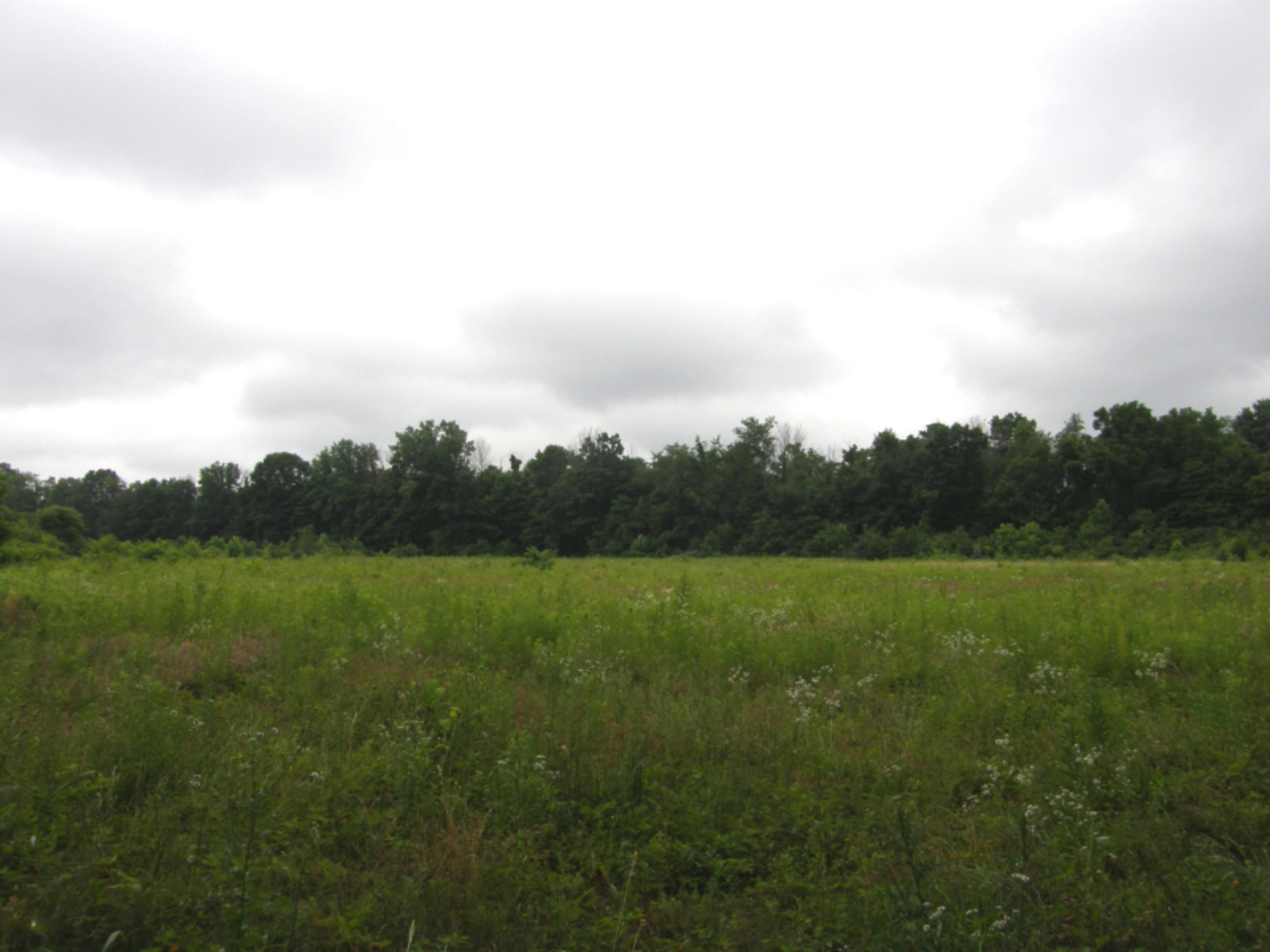Ullery Road Niles, MI 49120 - Photo 4 of 15 Ullery_4_Summer