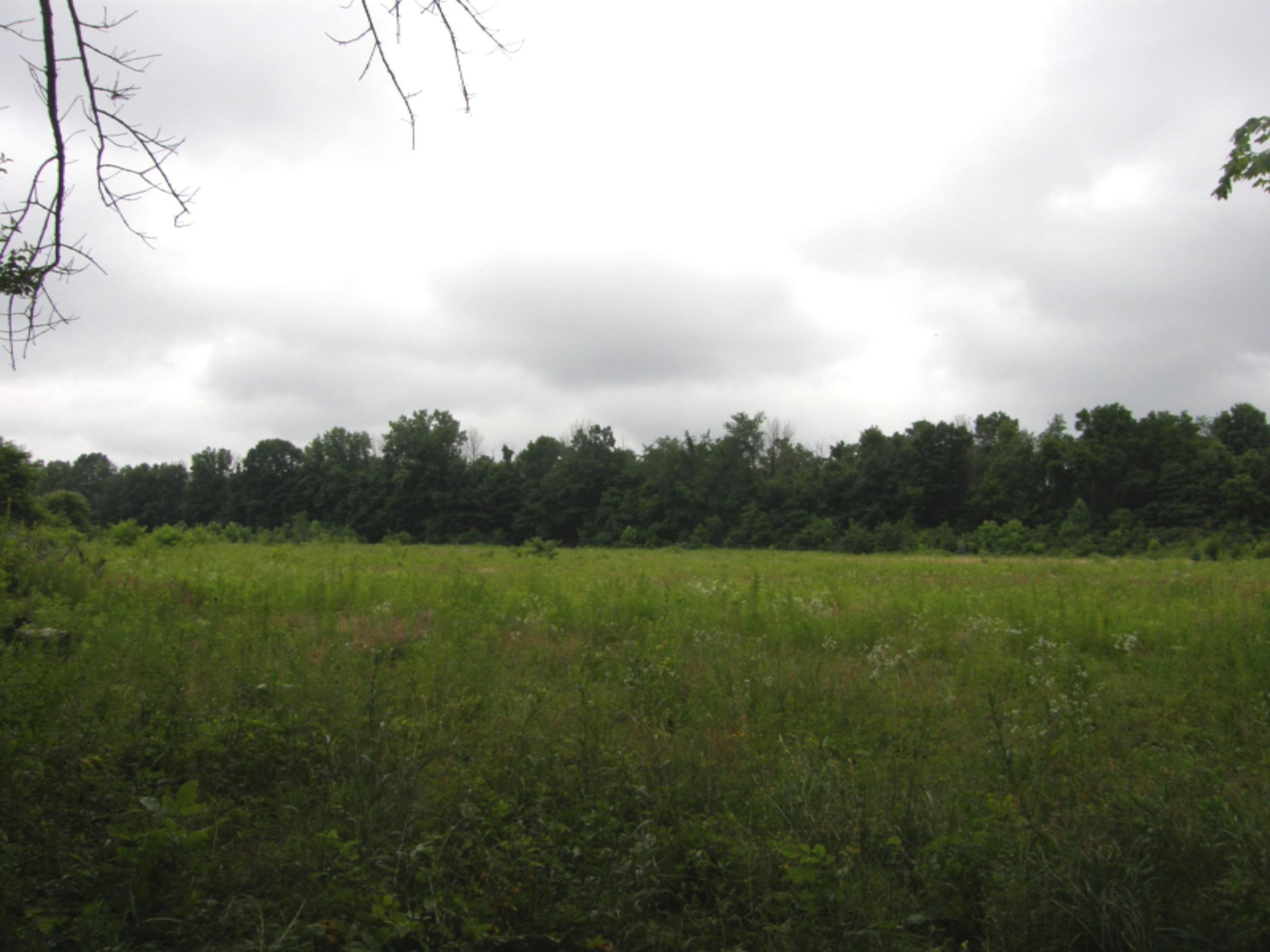 Ullery Road Niles, MI 49120 - Photo 6 of 15 Ullery_6_Summer