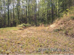 33 Oneida Road Swannanoa, NC 28778 - Photo 8 of 10 Gallery Image 8