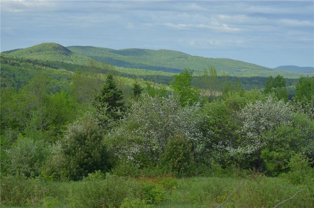 0 Graham Road Smyrna Mills, ME 04780 - Photo 14 of 14 Maine Land for Sale in Smyrna