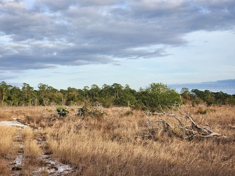 West Frostproof Road Frostproof, FL 33843 - Photo 16 of 18