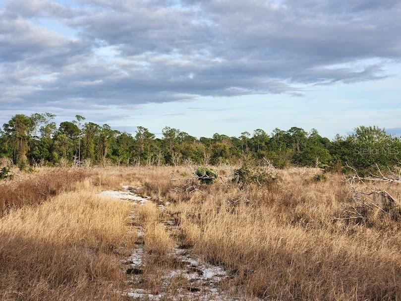 West Frostproof Road Frostproof, FL 33843 - Photo 17 of 18