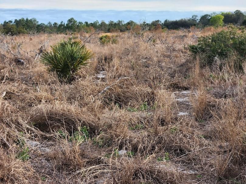 West Frostproof Road Frostproof, FL 33843 - Photo 18 of 18