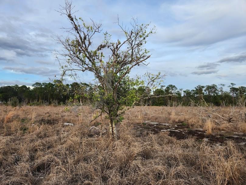 West Frostproof Road Frostproof, FL 33843 - Photo 9 of 18