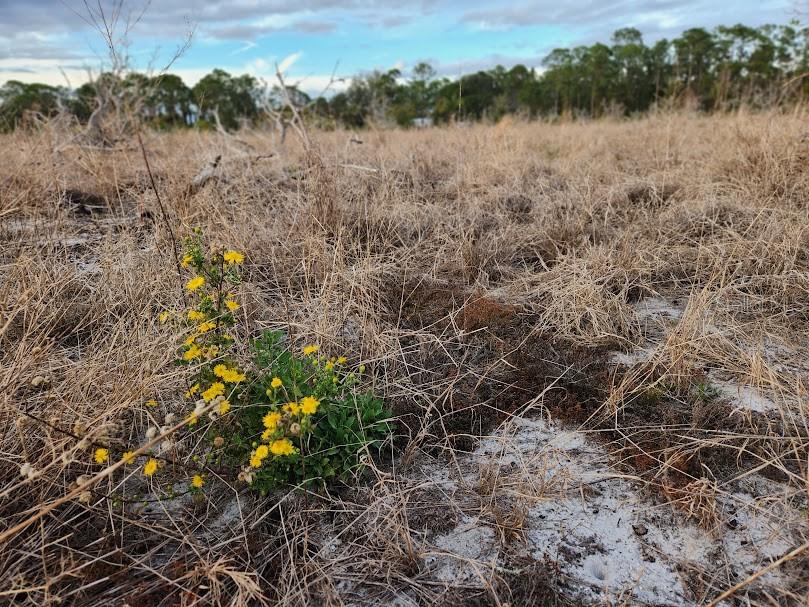 West Frostproof Road Frostproof, FL 33843 - Photo 10 of 18